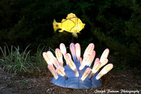 IMG_4531 copy