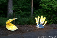 IMG_4532 copy