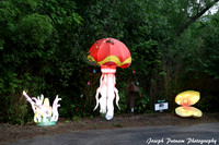IMG_4536 copy