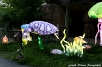 IMG_4537 copy