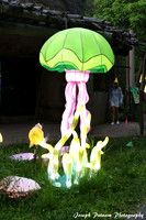 IMG_4539 copy