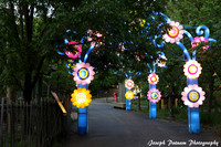 IMG_4541 copy
