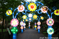IMG_4544 copy