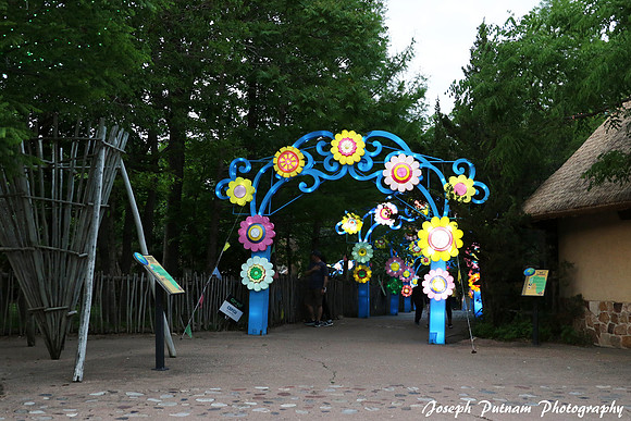 IMG_4549 copy