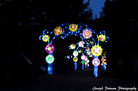 IMG_4553 copy