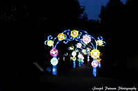 IMG_4554 copy