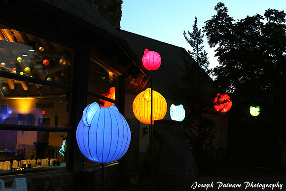 IMG_4559 copy
