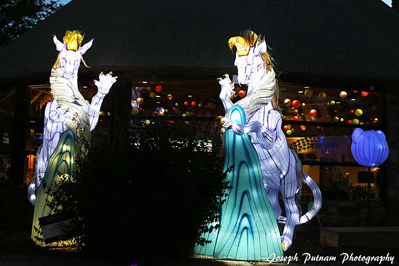 IMG_4557 copy