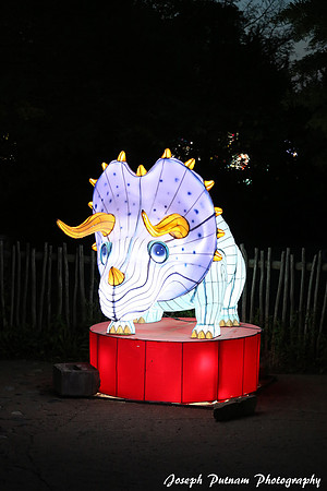 IMG_4560 copy