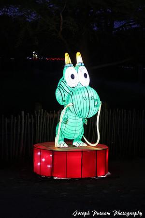 IMG_4561 copy
