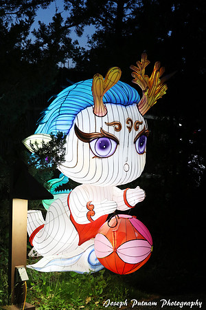 IMG_4570 copy