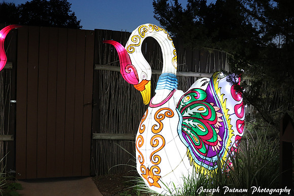 IMG_4574 copy