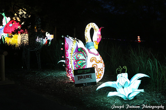 IMG_4576 copy