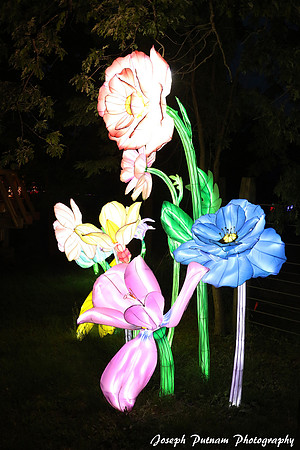 IMG_4587 copy