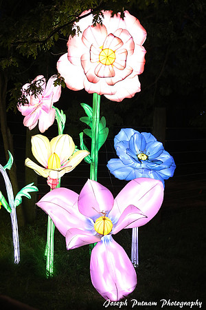 IMG_4589 copy