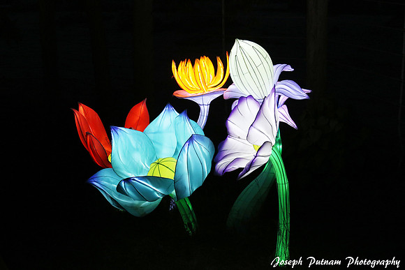 IMG_4590 copy