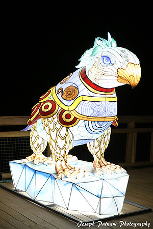 IMG_4614 copy