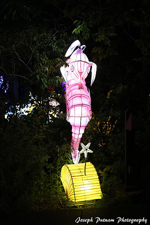 IMG_4642 copy