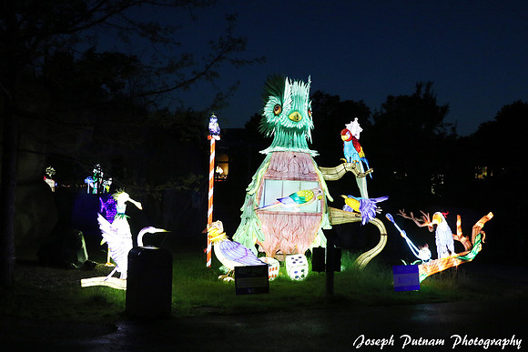 IMG_4643 copy