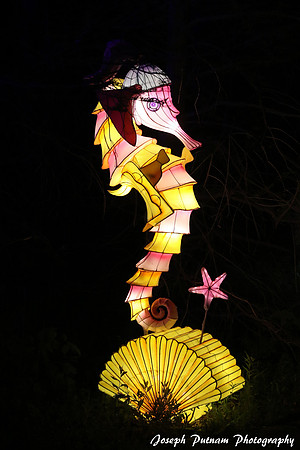 IMG_4646 copy