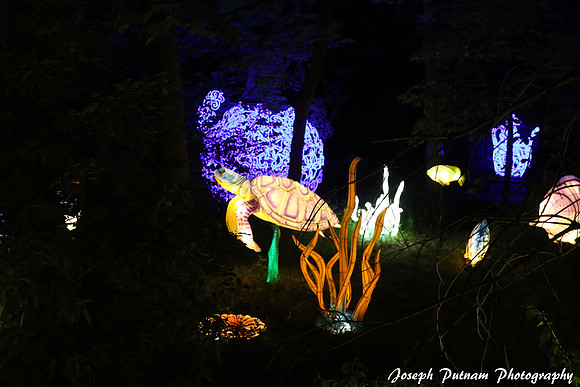 IMG_4648 copy