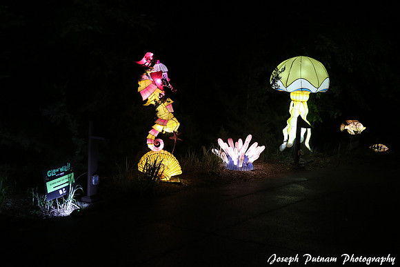 IMG_4650 copy