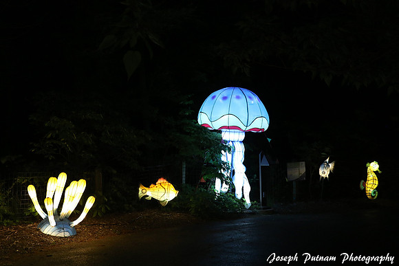 IMG_4656 copy