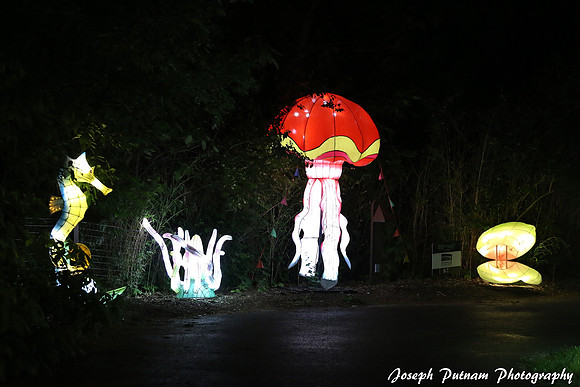 IMG_4657 copy