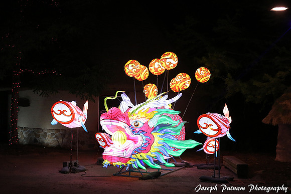 IMG_4668 copy