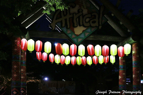 IMG_4669 copy