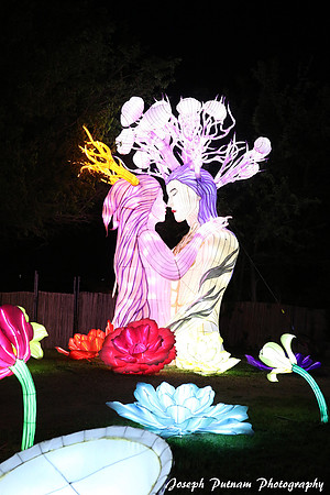 IMG_4711 copy