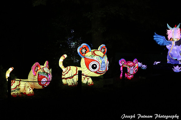 IMG_4719 copy