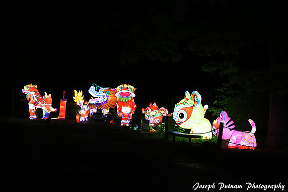 IMG_4729 copy
