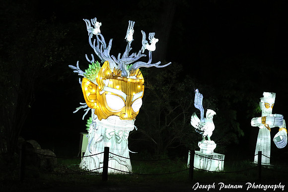 IMG_4731 copy