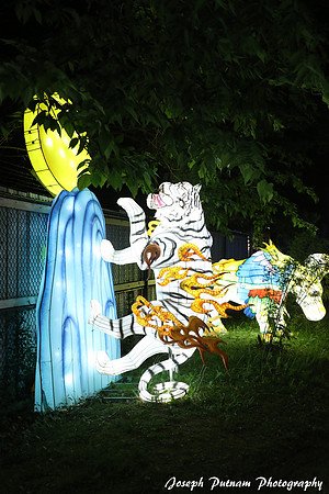 IMG_4741 copy