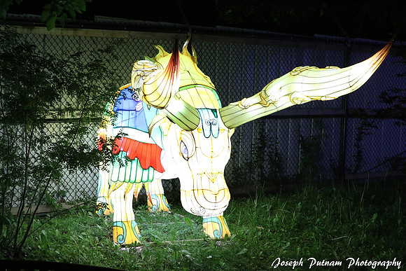 IMG_4744 copy