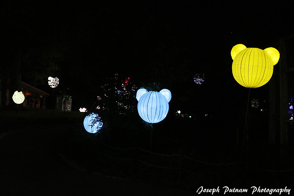 IMG_4746 copy