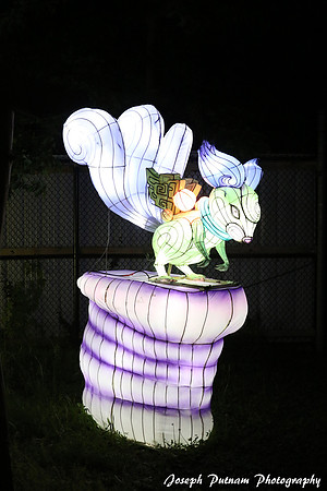 IMG_4749 copy