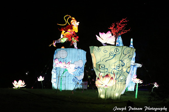 IMG_4750 copy