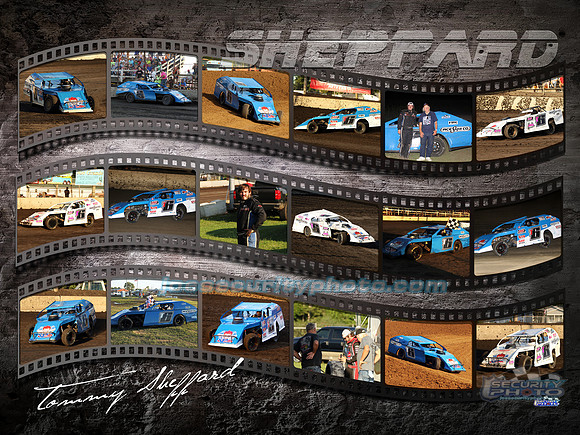 18x24 Horizontal_T_SHEPP
