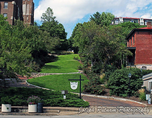 IMG_5294_11x863 copy