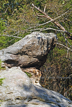 2007