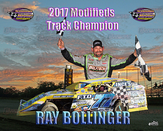 mod_bollinger2017 copy