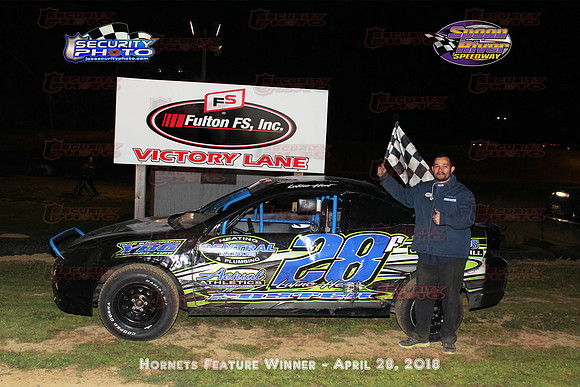 hornets feature winner copy