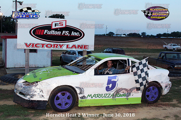 hornets heat 2 winner_1412 copy
