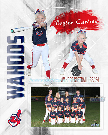 MM CARLSON copy