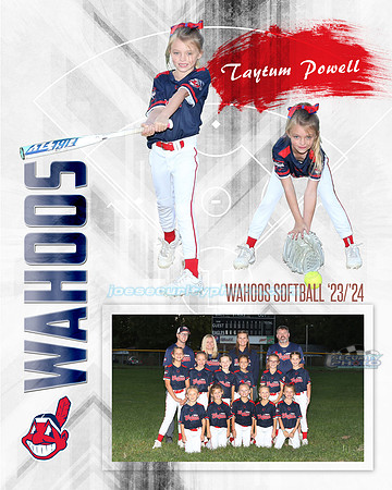 MM POWELL copy