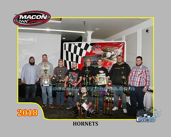 HORNETS copy