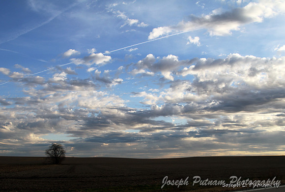 IMG_8636 copy