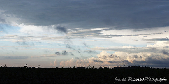 IMG_9396 copy